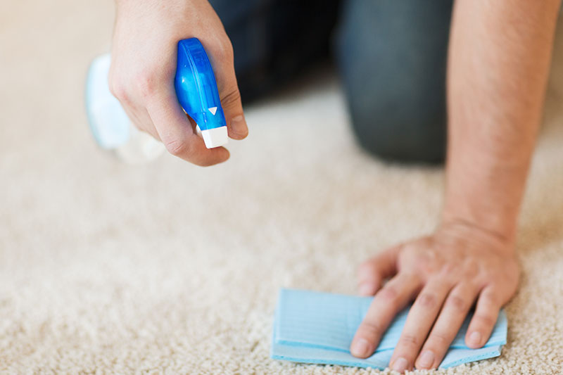 How to Effectively Clean Your Carpets Without Chemicals