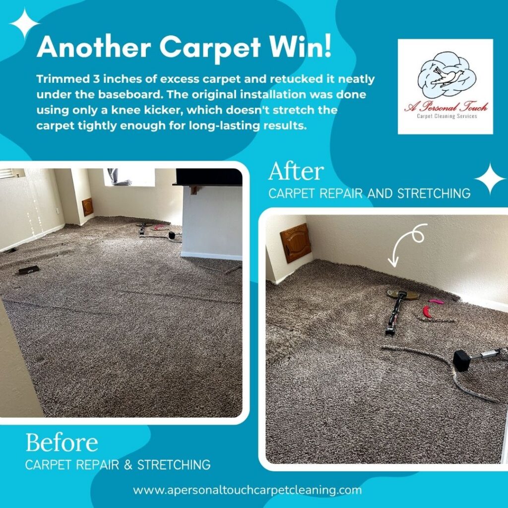 APT - Another Carpet Win B&A