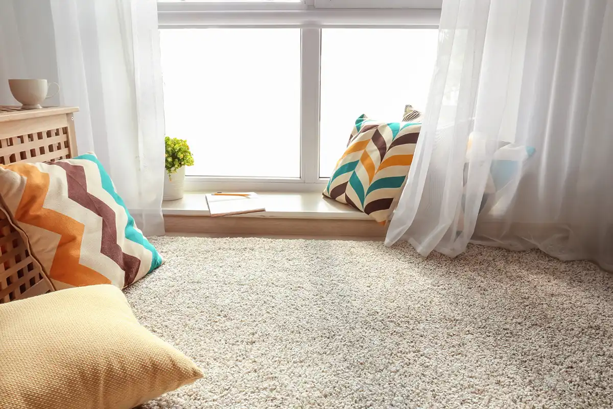 Why DIY Carpet Cleaners Fall Short During Hot Colorado Summers