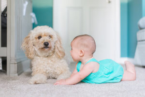 A dog and a baby on carpet