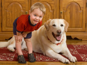 A child with a dog on carpet