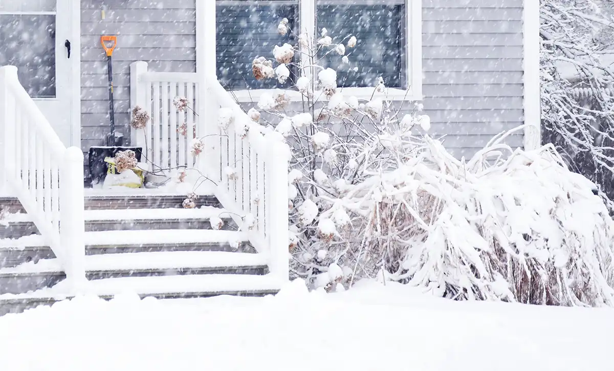 Fall Carpet Cleaning in Colorado: Preparing for Snow, Salt, and Holiday Traffic