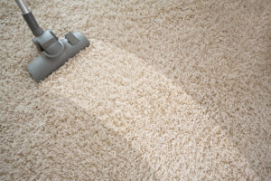 Vacuum Regularly